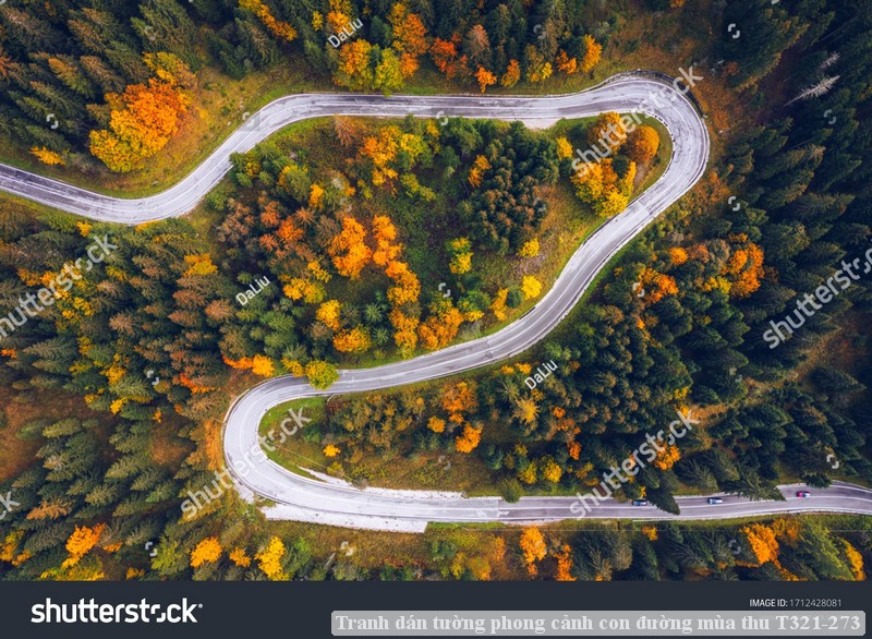 Tranh dán tường phong cảnh con đường mùa thu T321-273